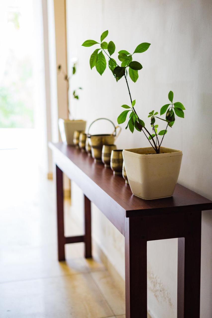 Mekosha Ayurveda Spa Suites Retreat & Resort Attingal Ngoại thất bức ảnh